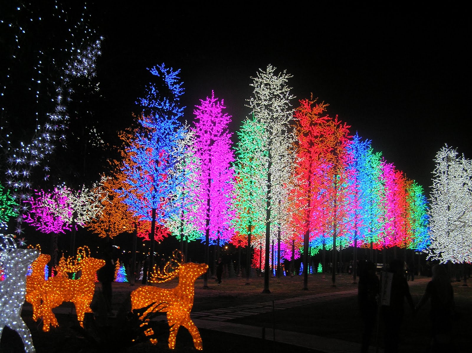 iCity