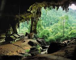 Taman Negara Niah